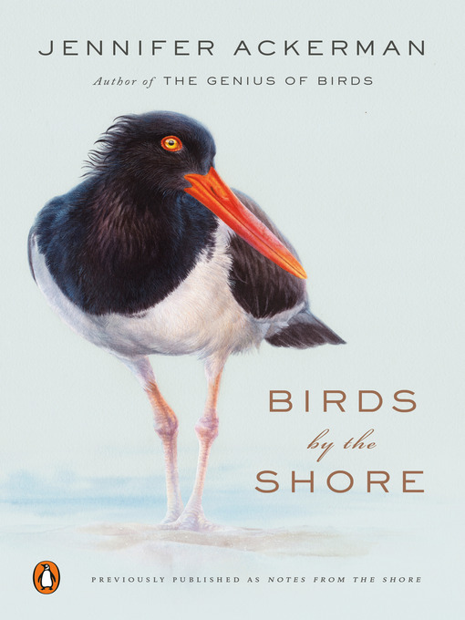 Title details for Birds by the Shore by Jennifer Ackerman - Wait list